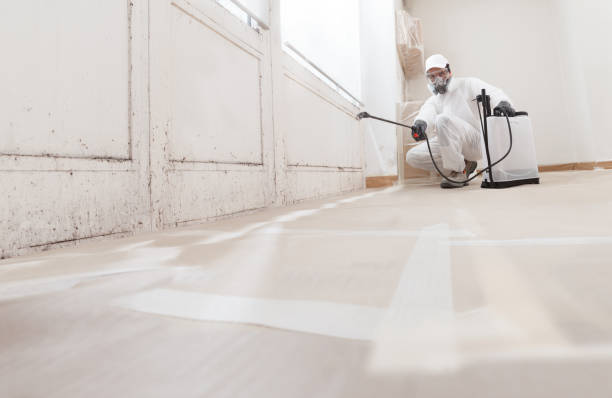 24/7 Emergency Mold Remediation experts in Woodward, PA