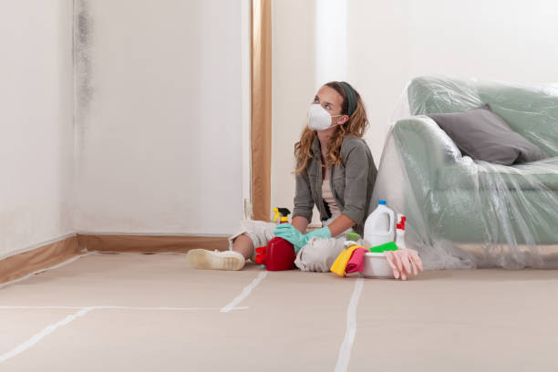 Reliable Mold Remediation contractor in Woodward, PA by WQB Mold Removal